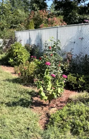 18 Stanton Court Keene NH 03431