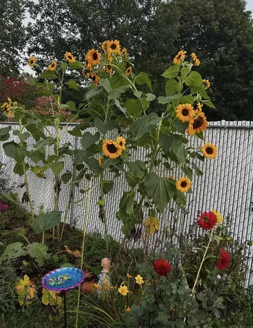 18 Stanton Court Keene NH 03431