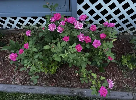 18 Stanton Court Keene NH 03431