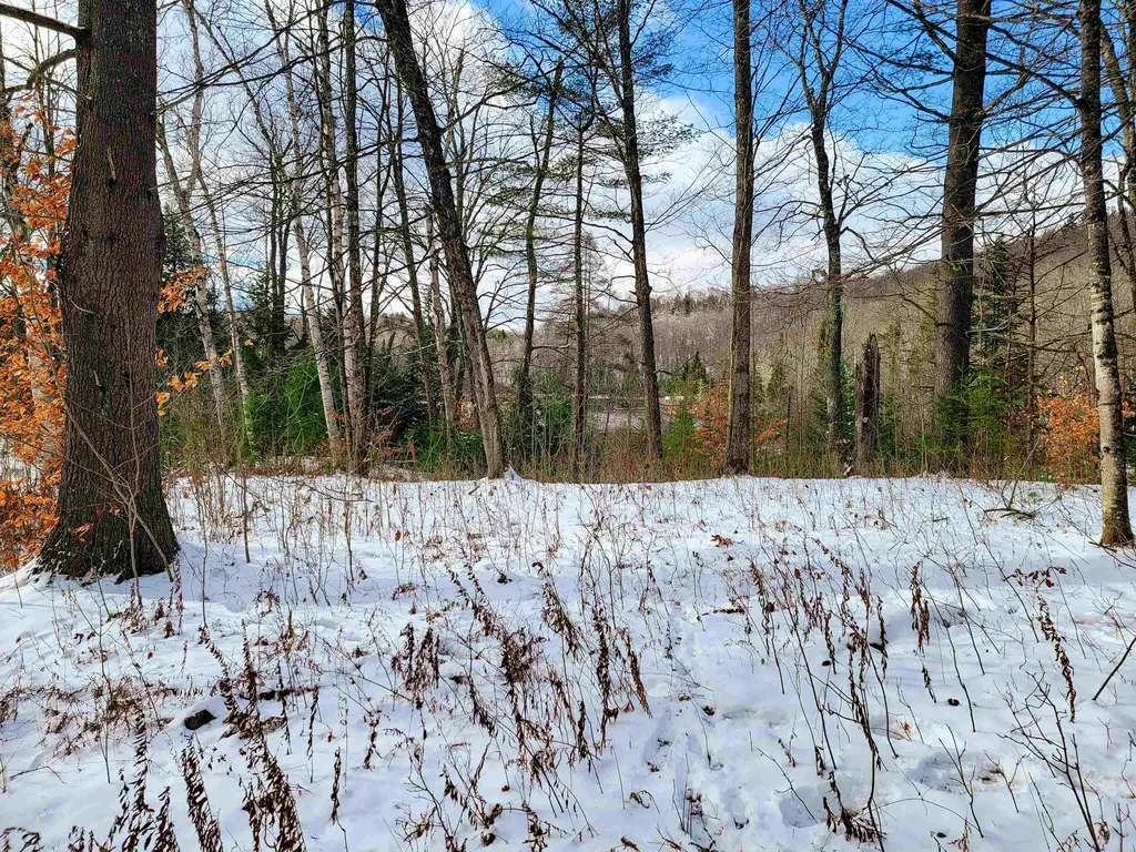 1165 West County Road Calais VT 05648