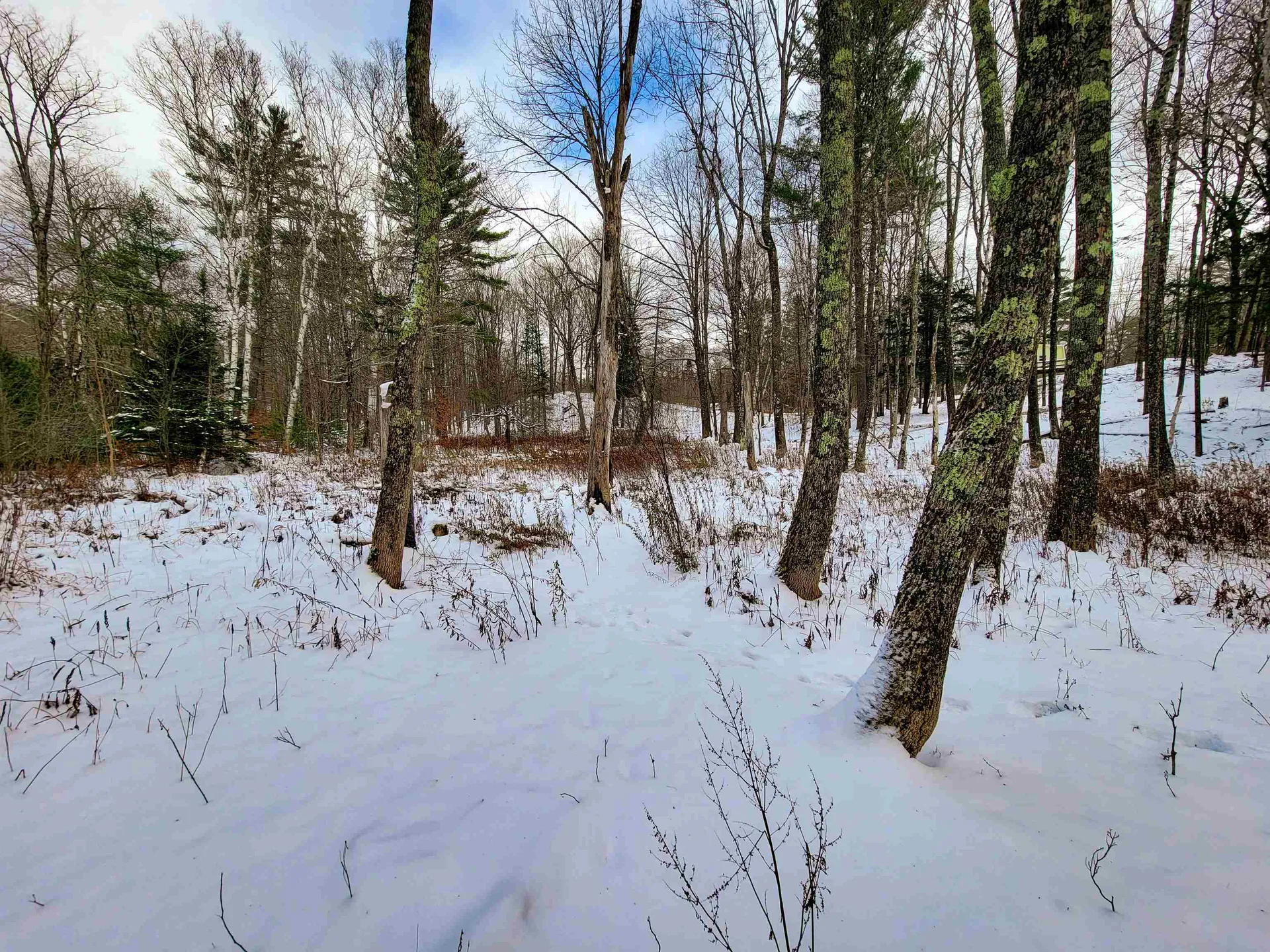 1165 West County Road Calais VT 05648