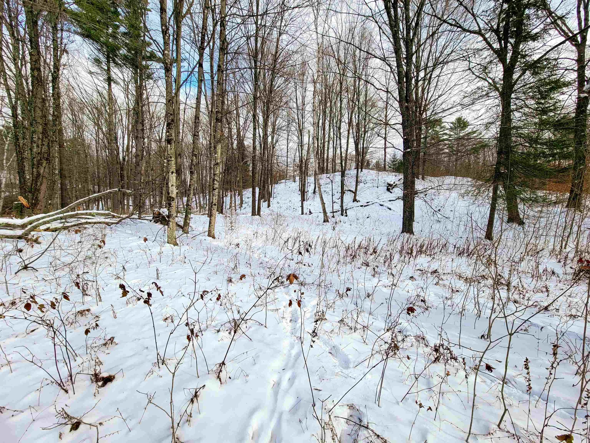 1165 West County Road Calais VT 05648