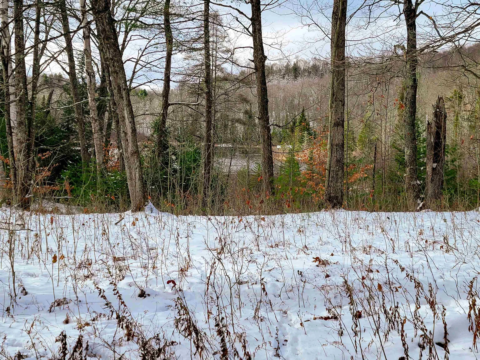 1165 West County Road Calais VT 05648