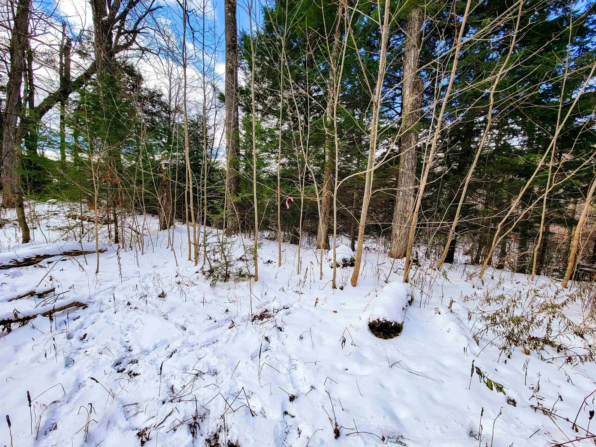 1165 West County Road Calais VT 05648