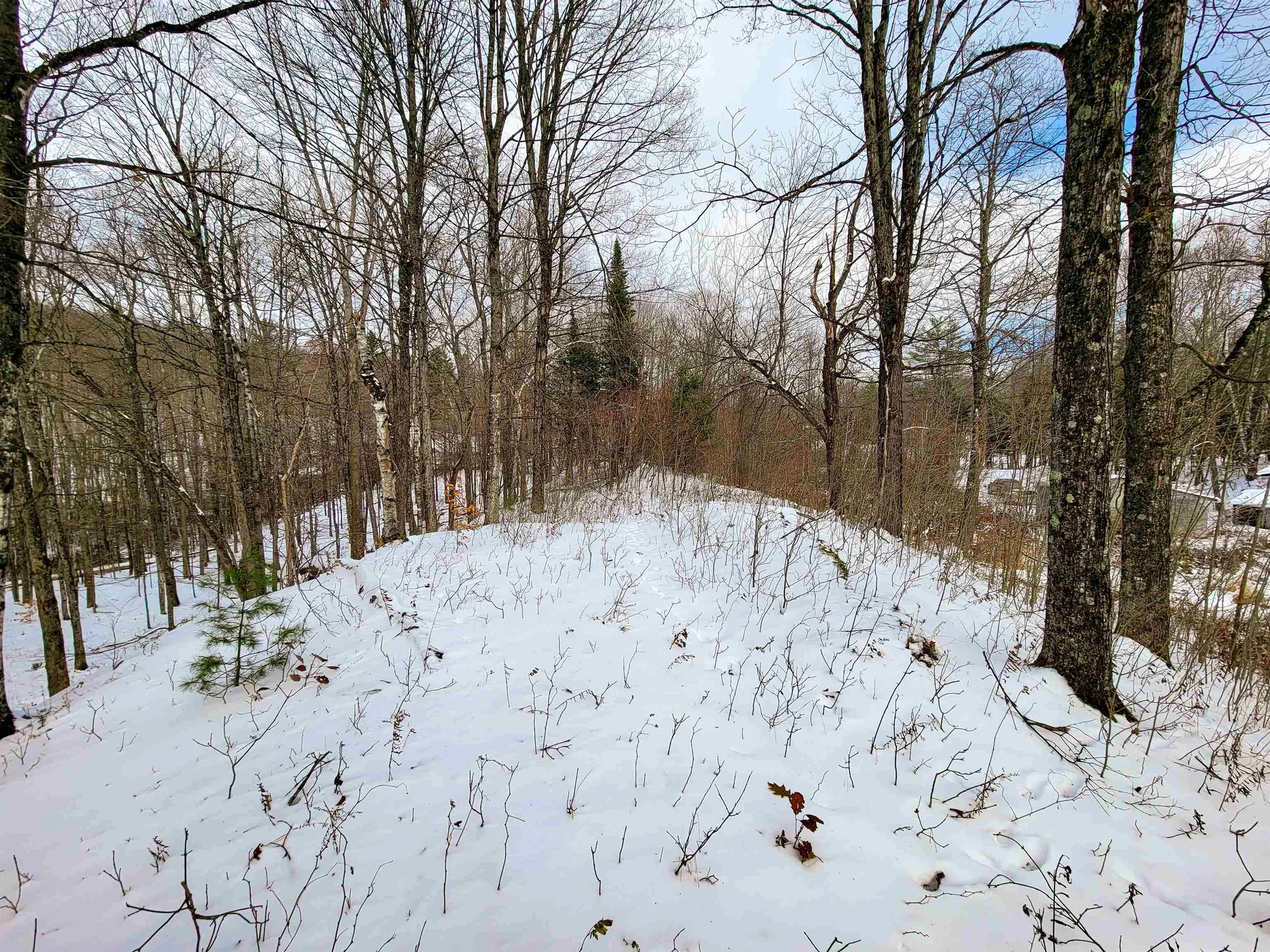 1165 West County Road Calais VT 05648