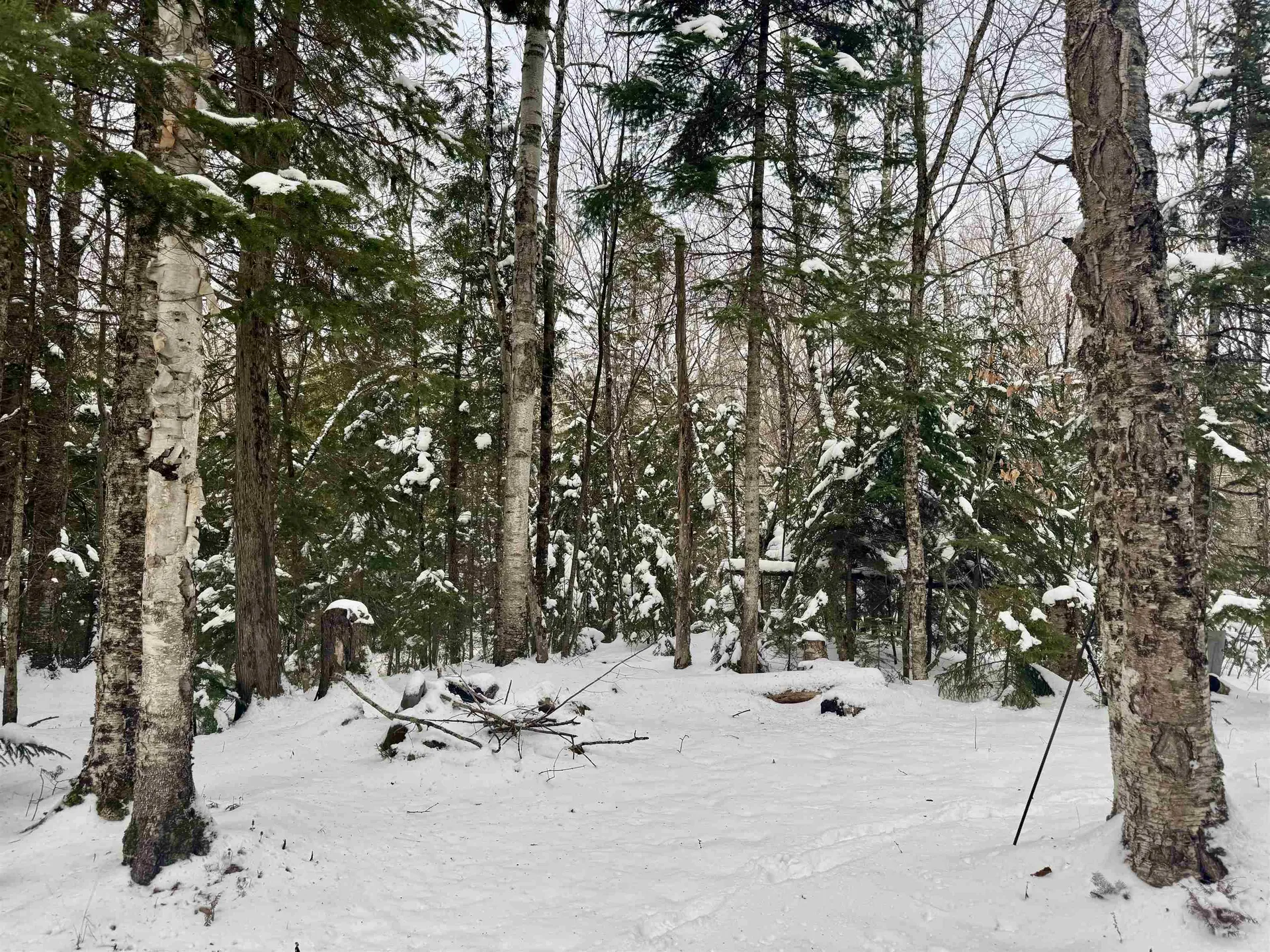 151 Westmore Road Charleston VT 05833