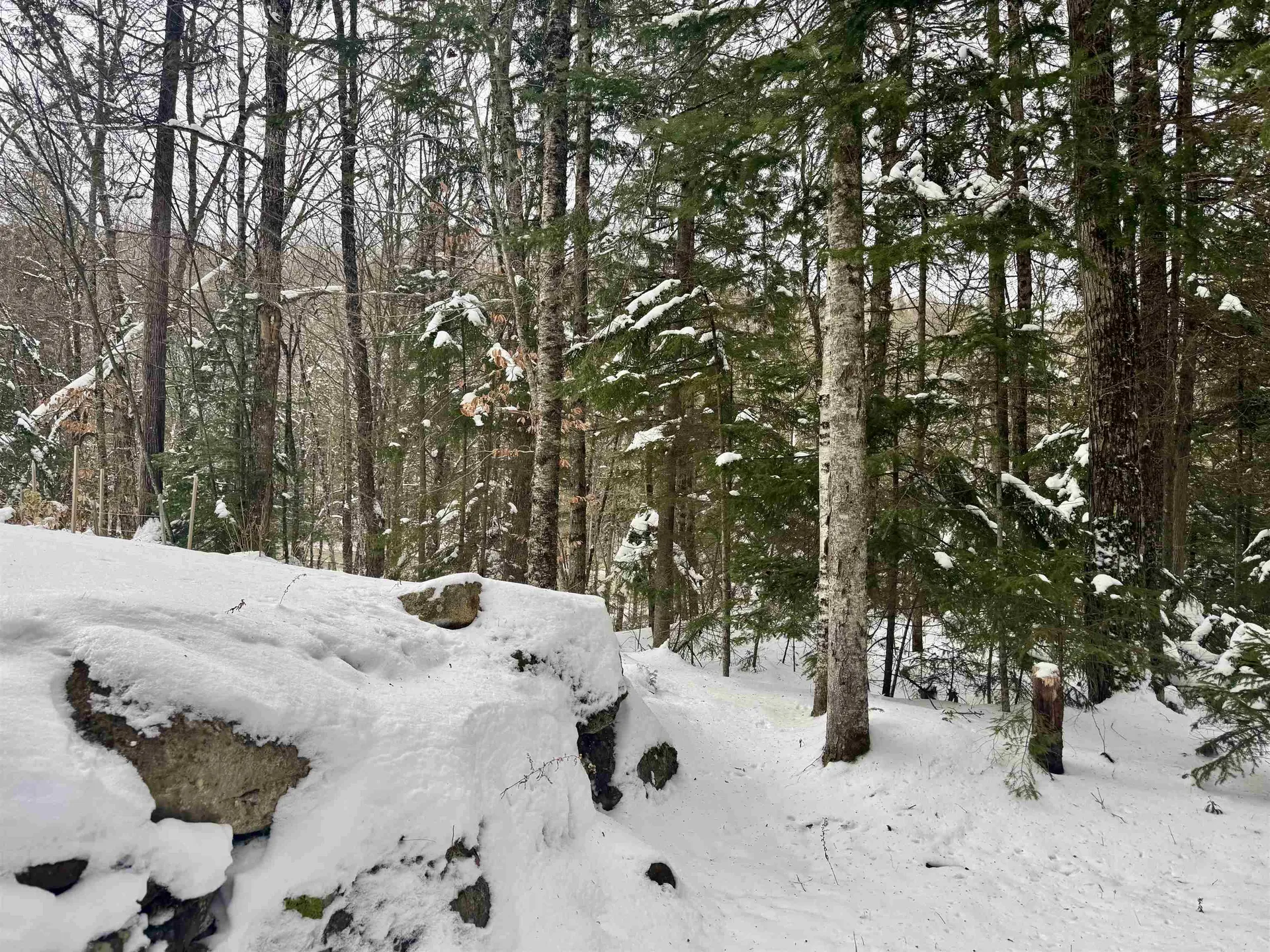 151 Westmore Road Charleston VT 05833