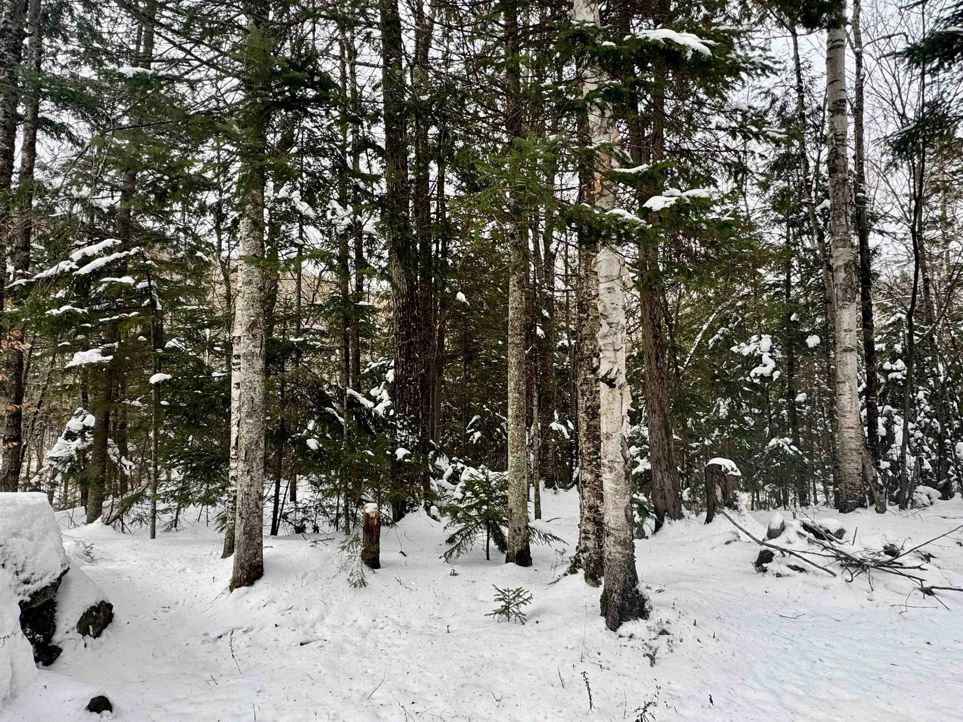 151 Westmore Road Charleston VT 05833