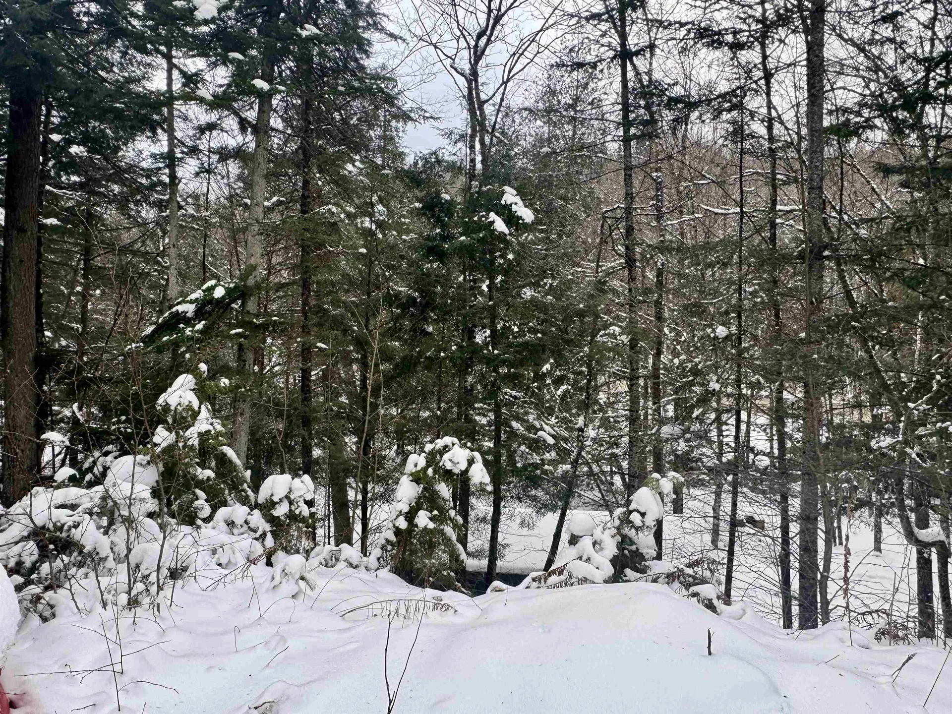 151 Westmore Road Charleston VT 05833