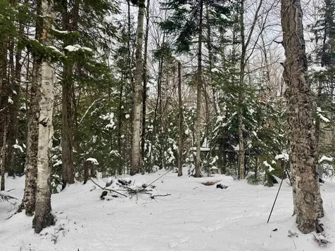 151 Westmore Road Charleston VT 05833