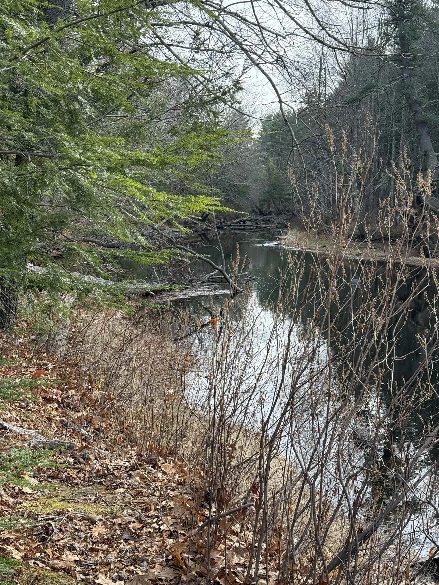 14 Sir Lancelot Drive Exeter NH 03833