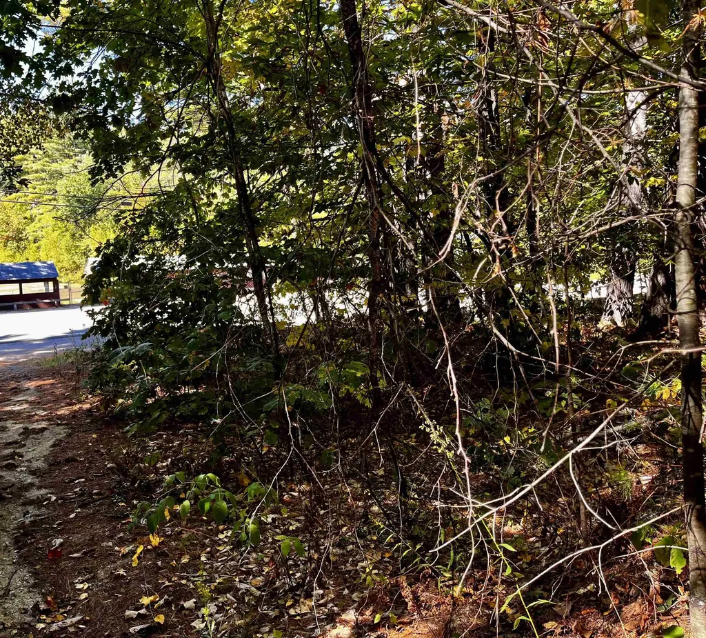 Conway Road Madison NH 03849