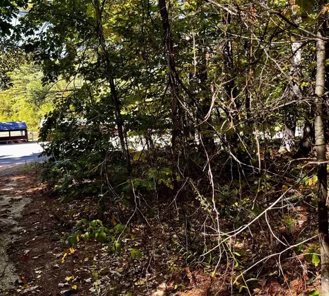 Conway Road Madison NH 03849