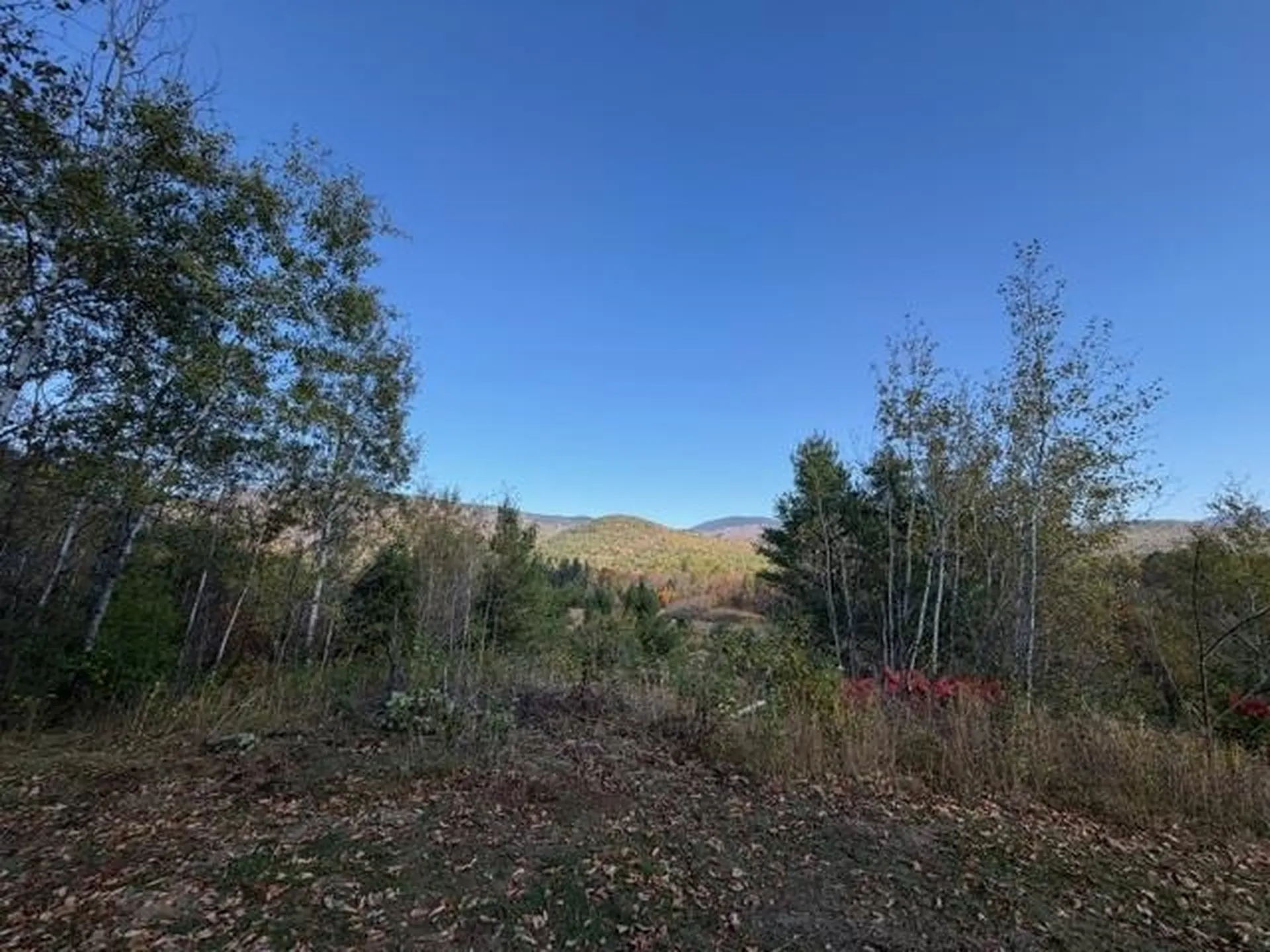 19 Village Road Shelburne NH 03581