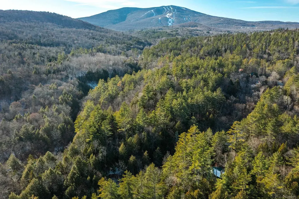 4410 Pikes Falls Road Jamaica VT 05343