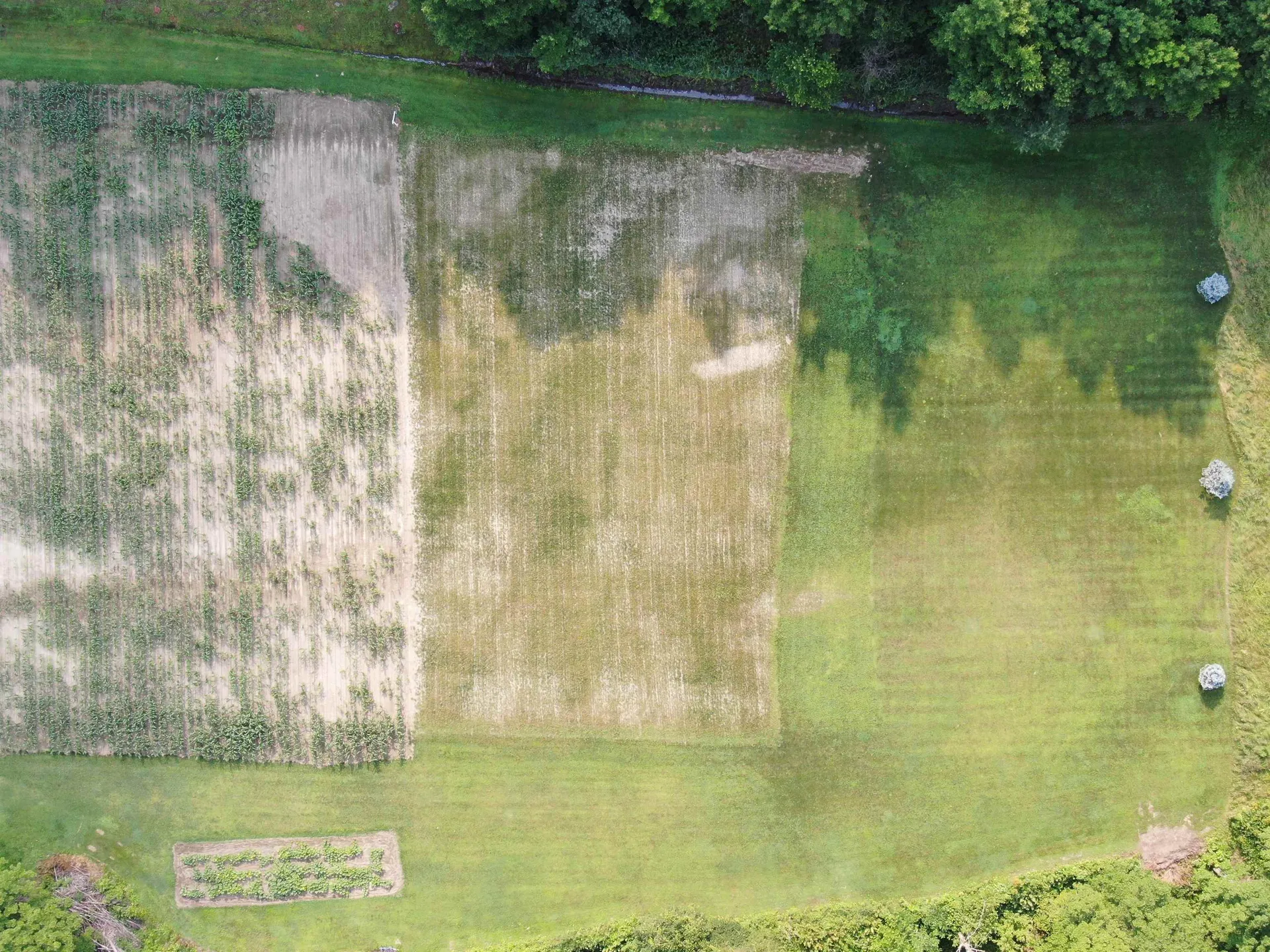 Lot Three Guptil Road Waterbury VT 05677