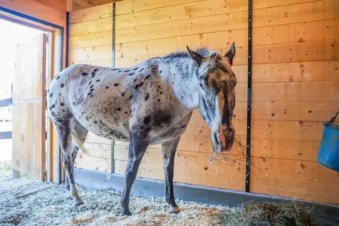 100 Cram Road Sanbornton NH 03269