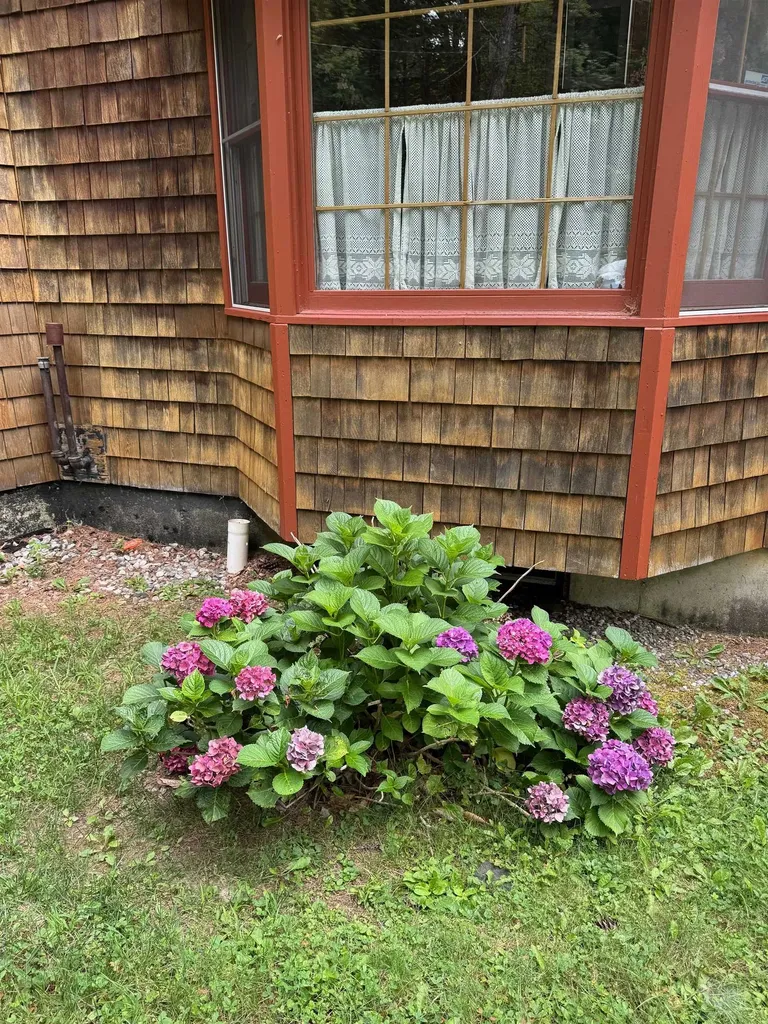 1501 Sheldon Hill Road Wardsboro VT 05355