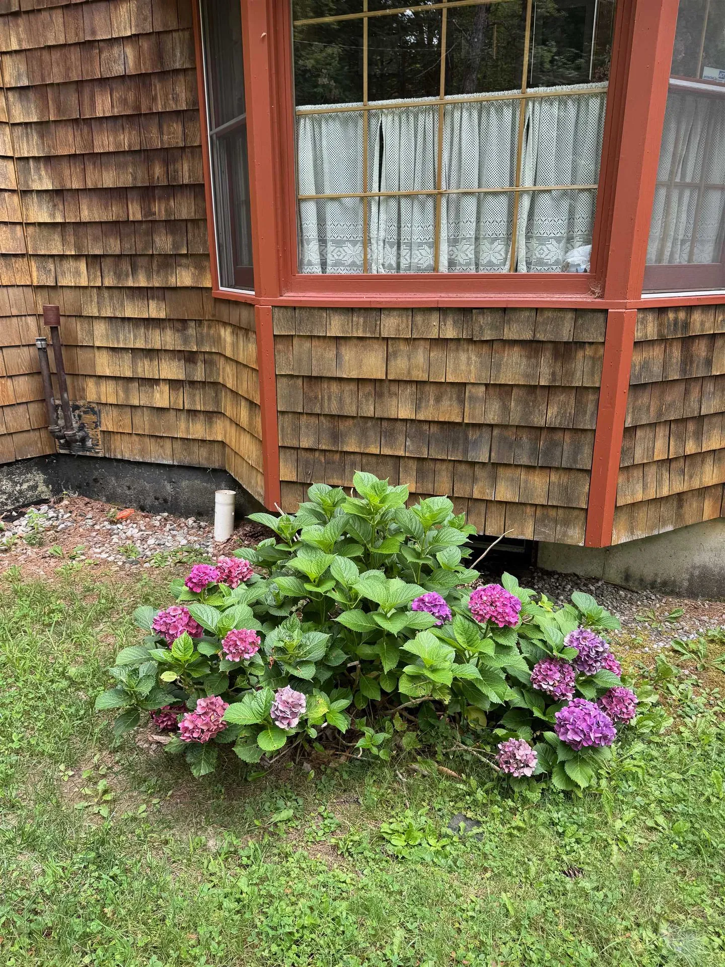 1501 Sheldon Hill Road Wardsboro VT 05355