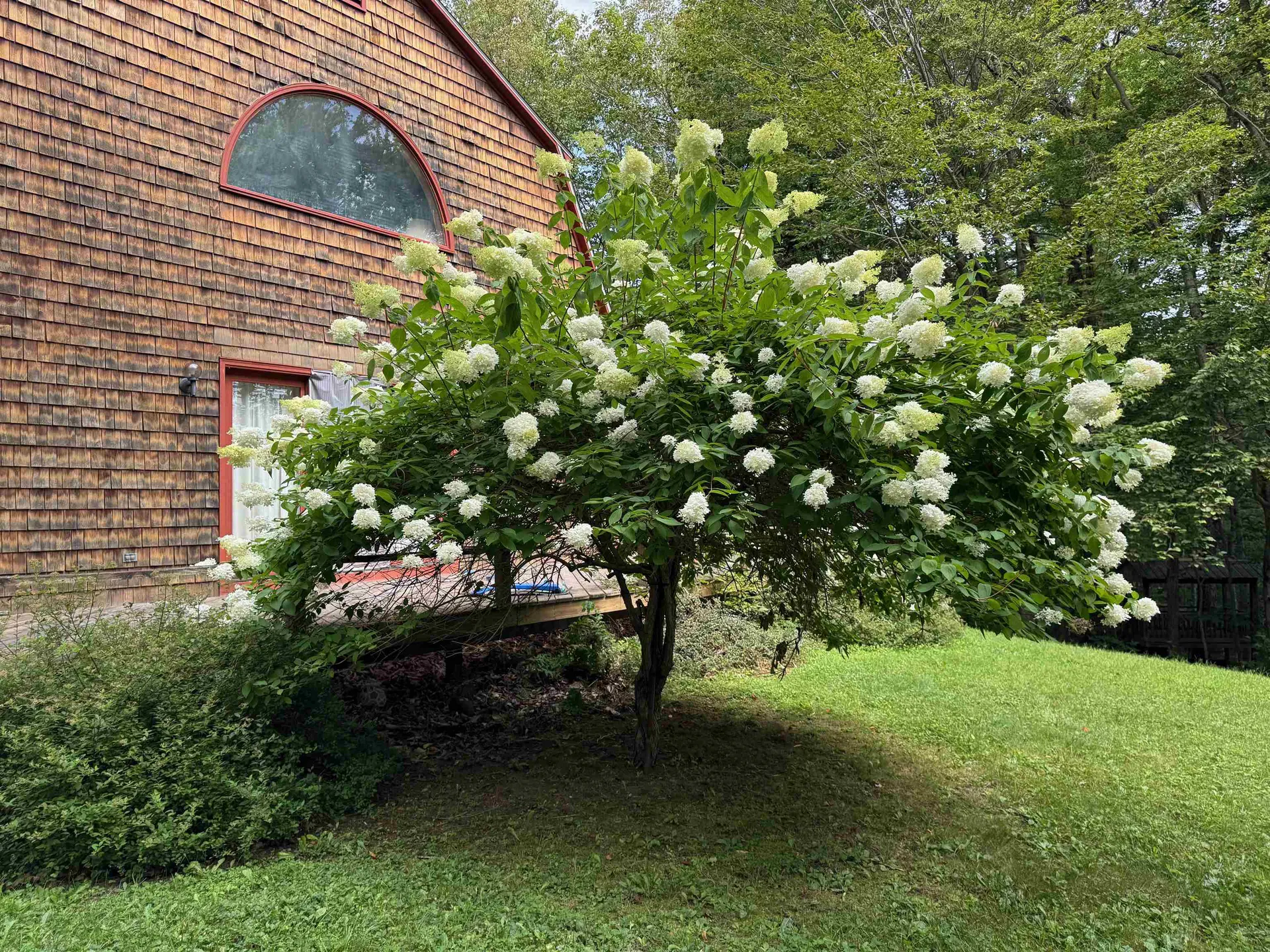 1501 Sheldon Hill Road Wardsboro VT 05355