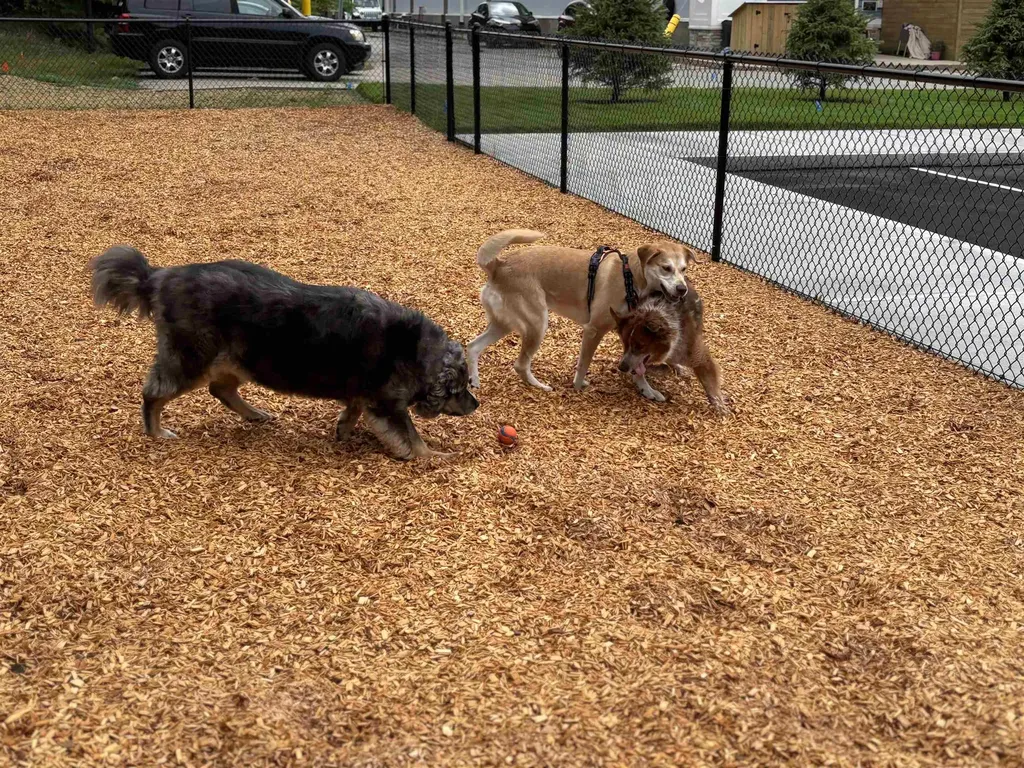 80 Constitution Avenue Portsmouth NH 03801