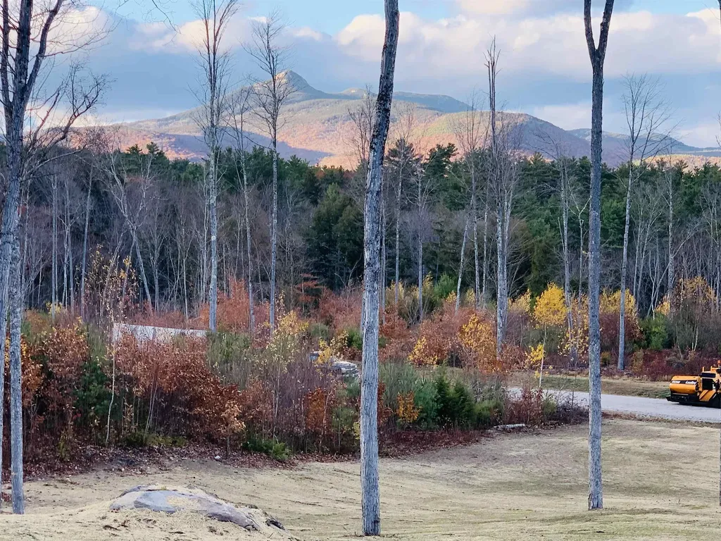 63 Whipples Way Tamworth NH 03817