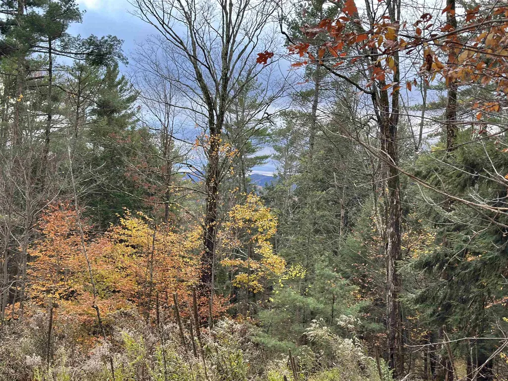 00 Peaked Hill Road Bristol NH 03222