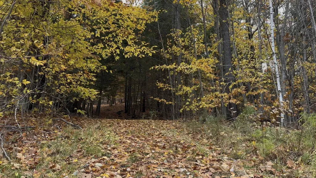 00 Peaked Hill Road Bristol NH 03222