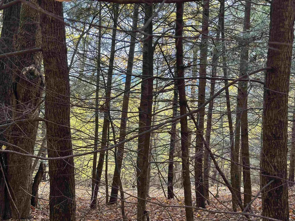 00 Peaked Hill Road Bristol NH 03222