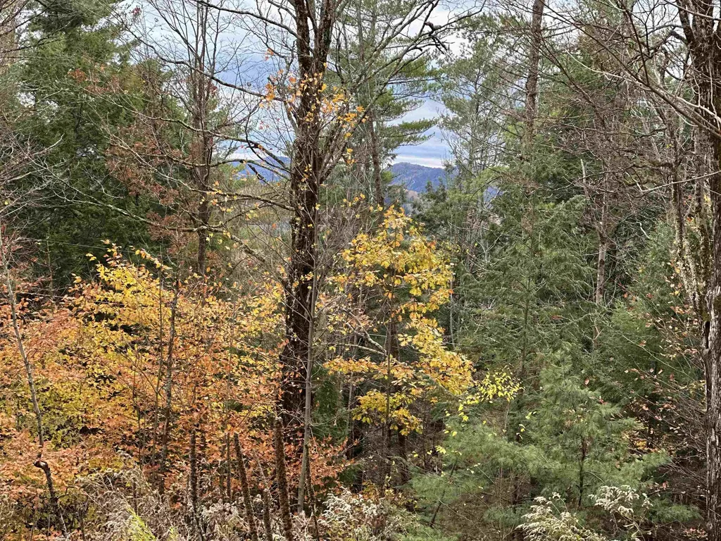 00 Peaked Hill Road Bristol NH 03222