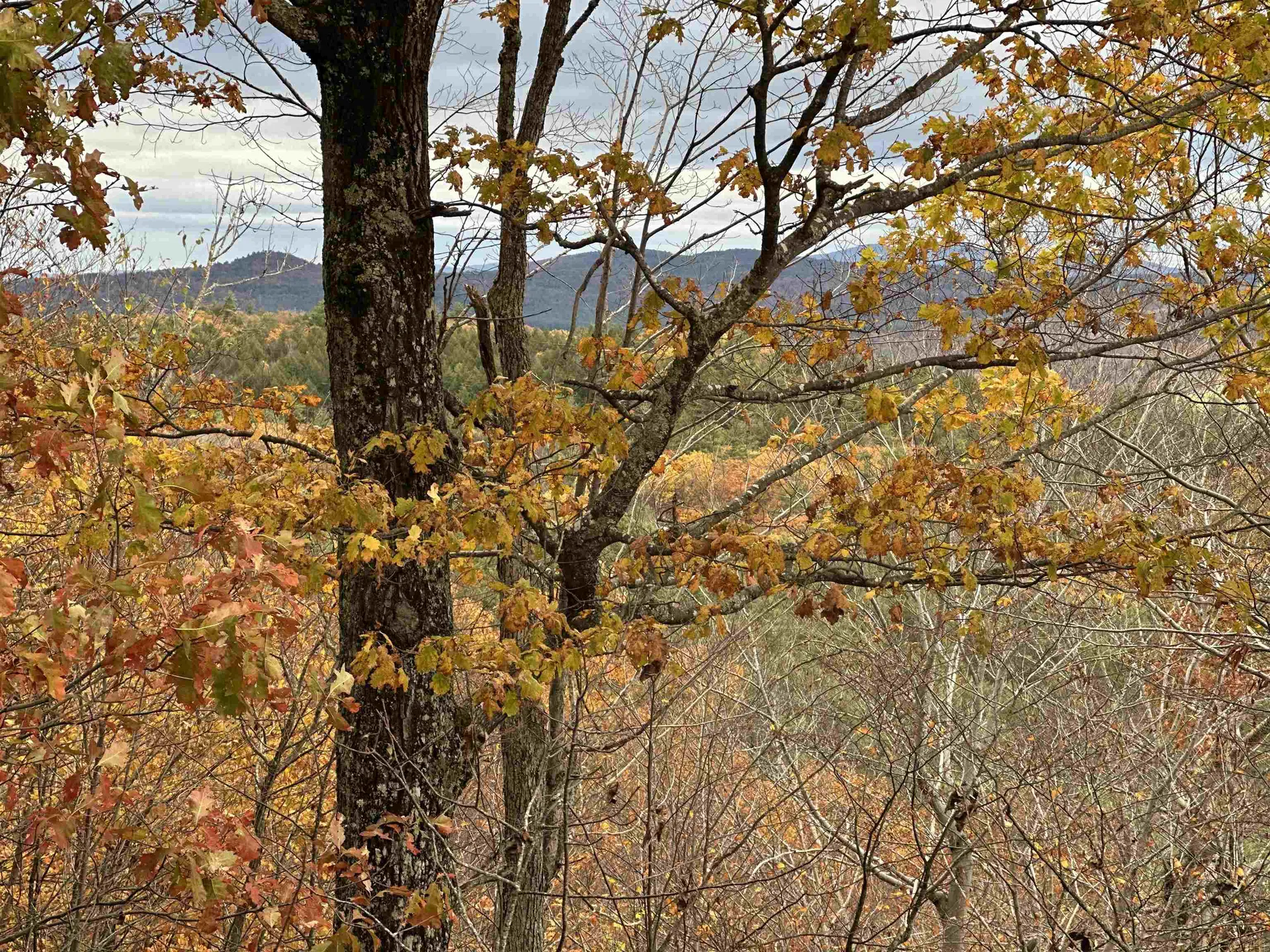 00 Peaked Hill Road Bristol NH 03222