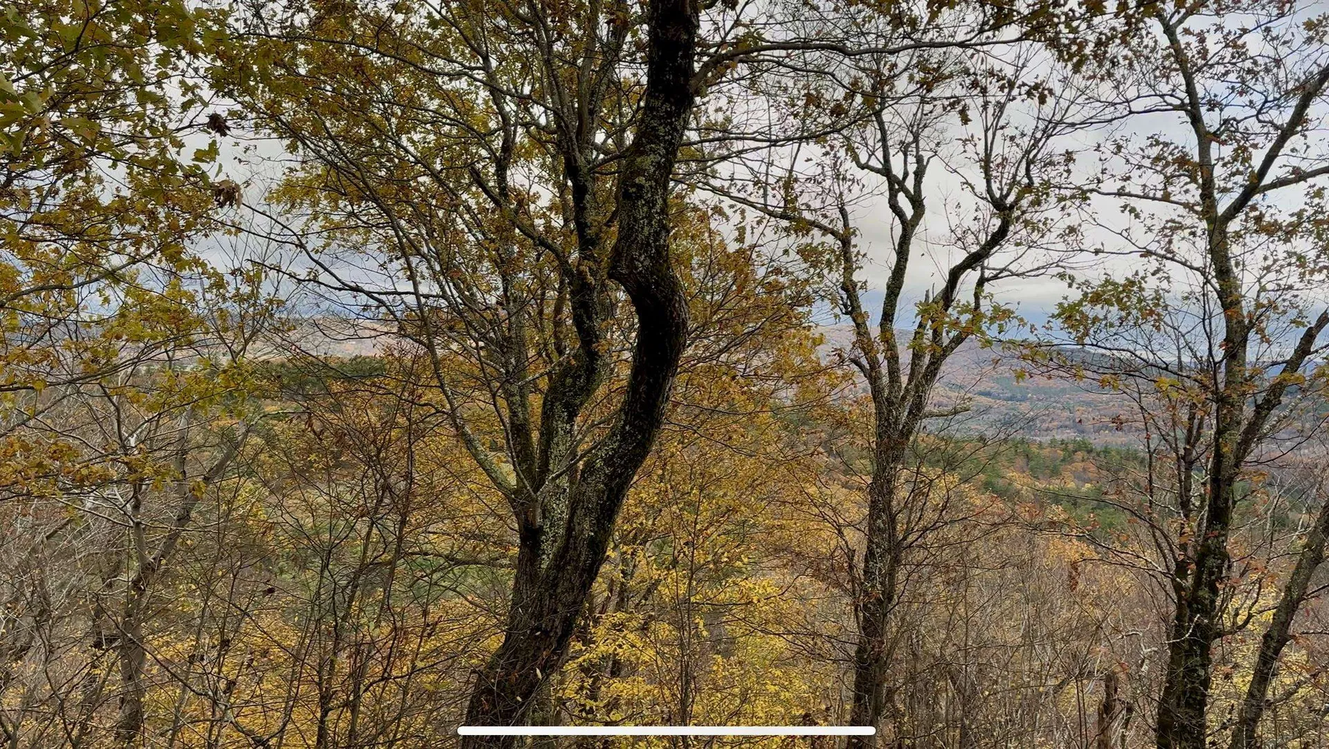 00 Peaked Hill Road Bristol NH 03222