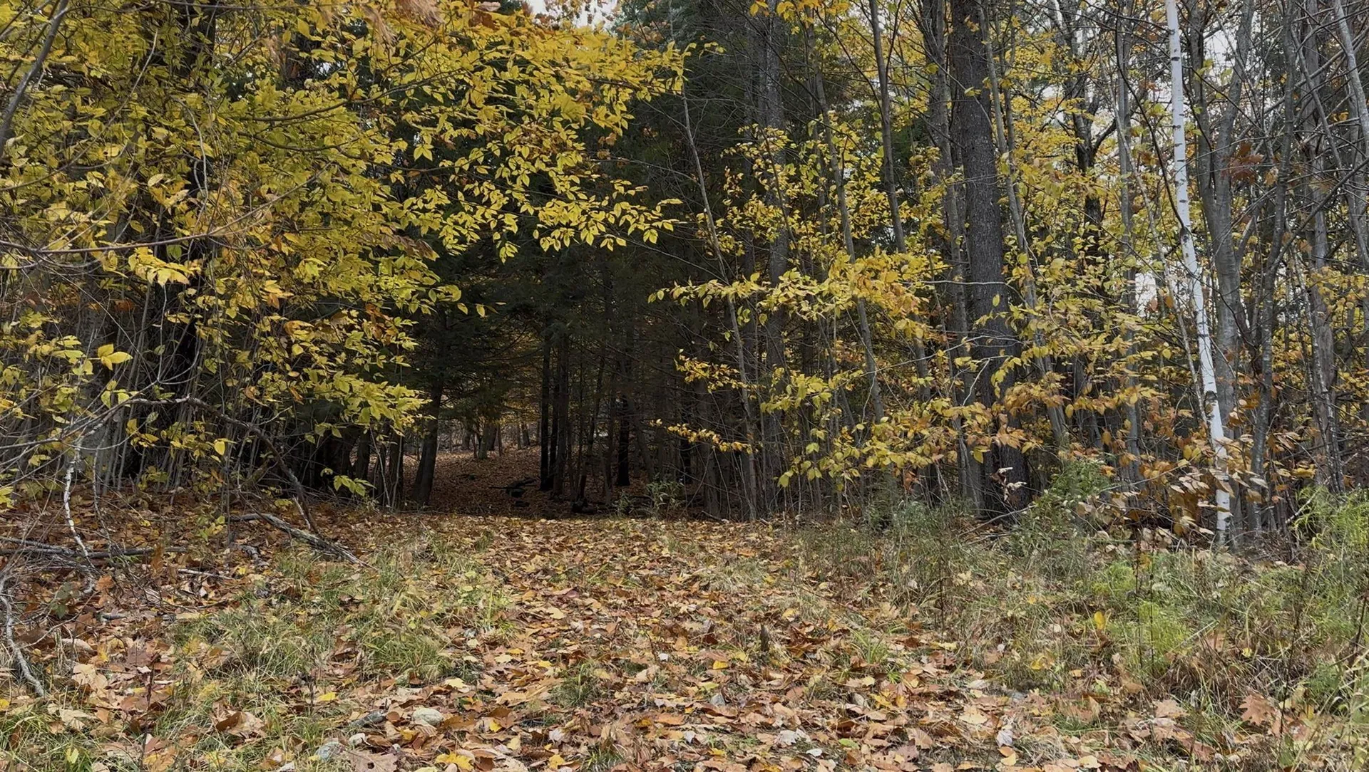 00 Peaked Hill Road Bristol NH 03222