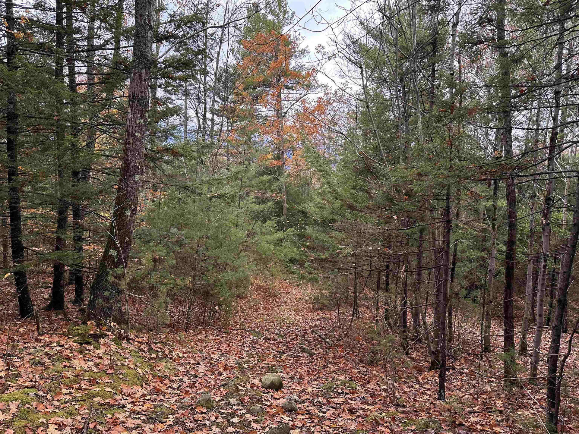 00 Peaked Hill Road Bristol NH 03222