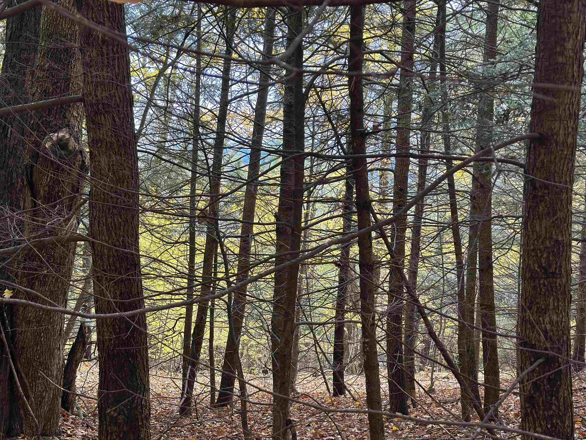 00 Peaked Hill Road Bristol NH 03222