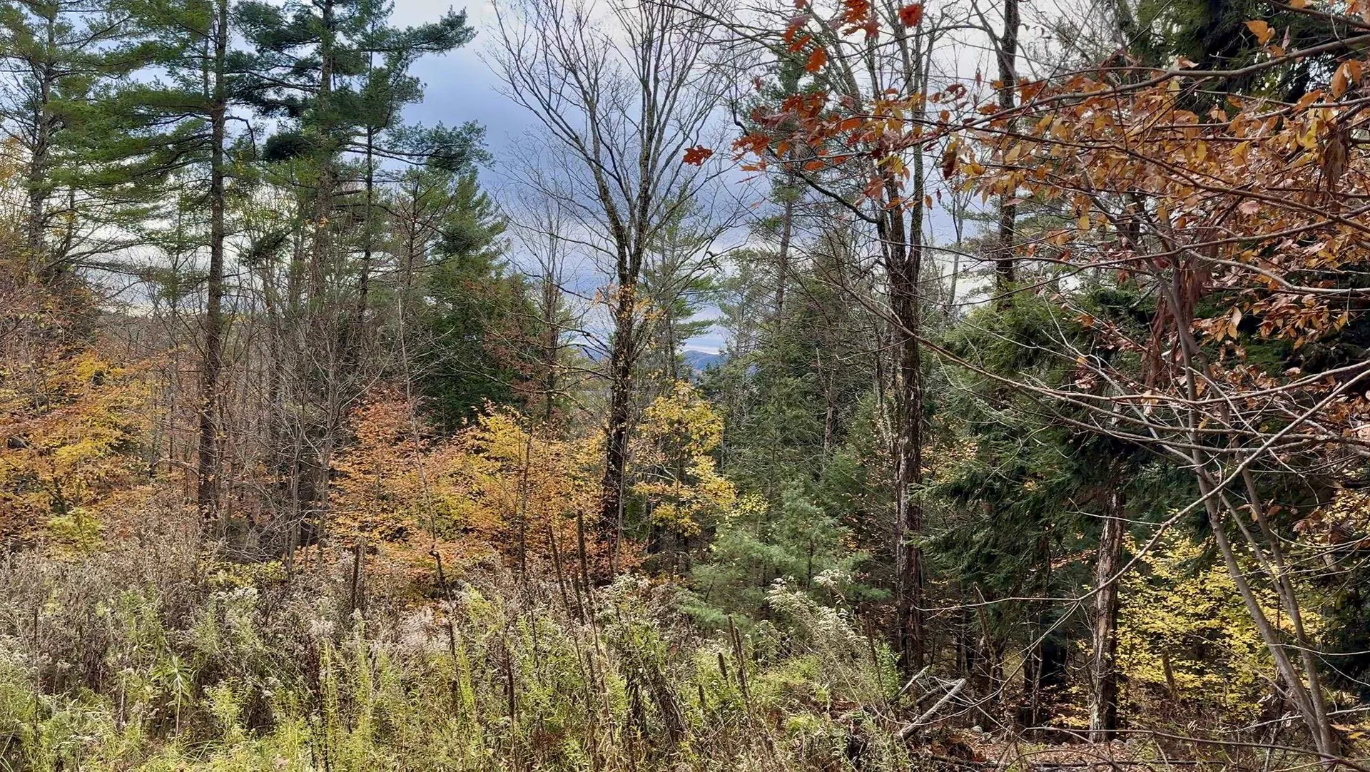 00 Peaked Hill Road Bristol NH 03222