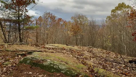 00 Peaked Hill Road Bristol NH 03222