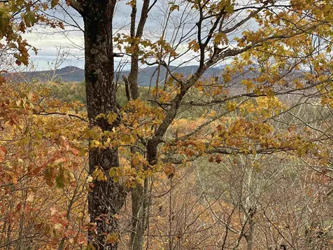 00 Peaked Hill Road Bristol NH 03222