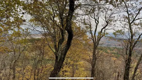 00 Peaked Hill Road Bristol NH 03222