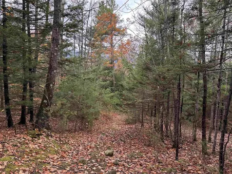 00 Peaked Hill Road Bristol NH 03222