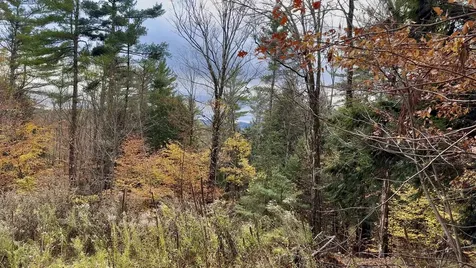 00 Peaked Hill Road Bristol NH 03222