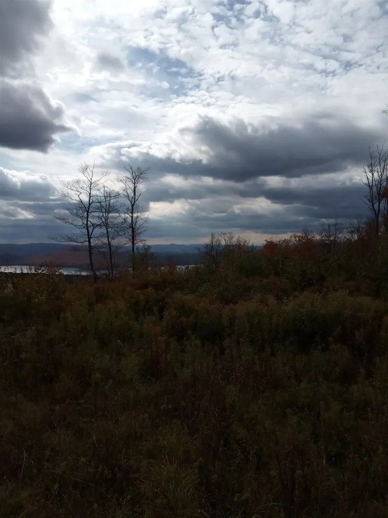 O Toad Pond Road Morgan VT 05853