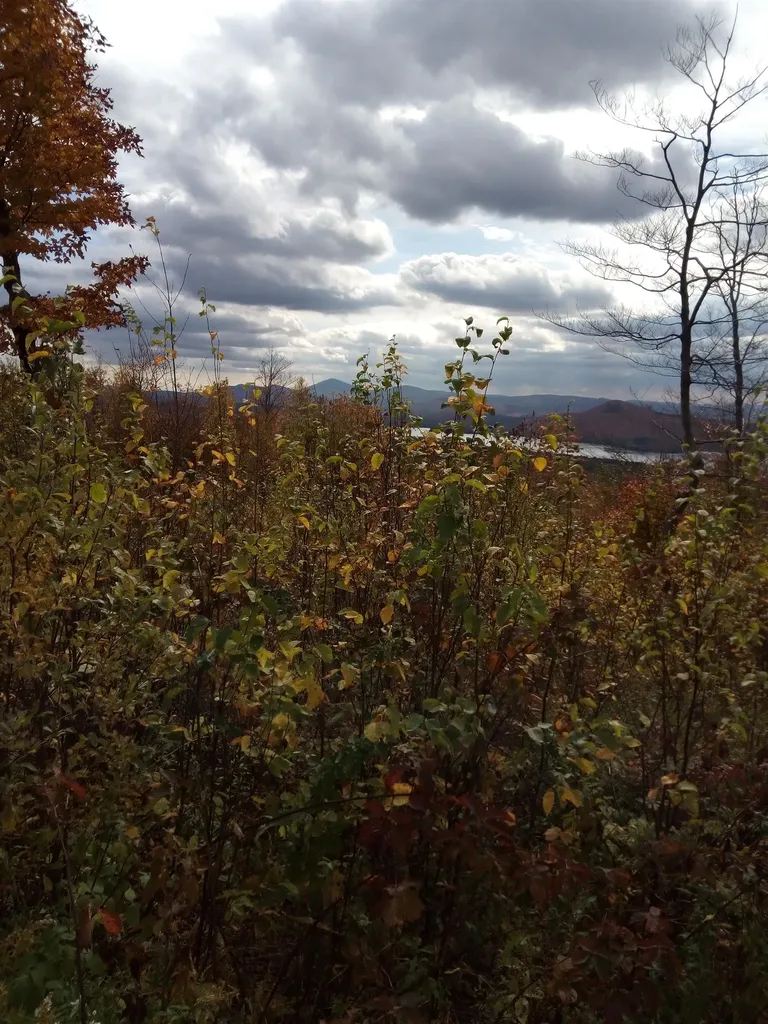 O Toad Pond Road Morgan VT 05853