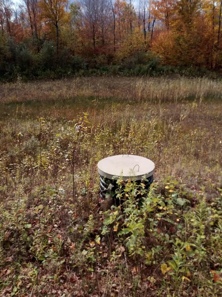 O Toad Pond Road Morgan VT 05853