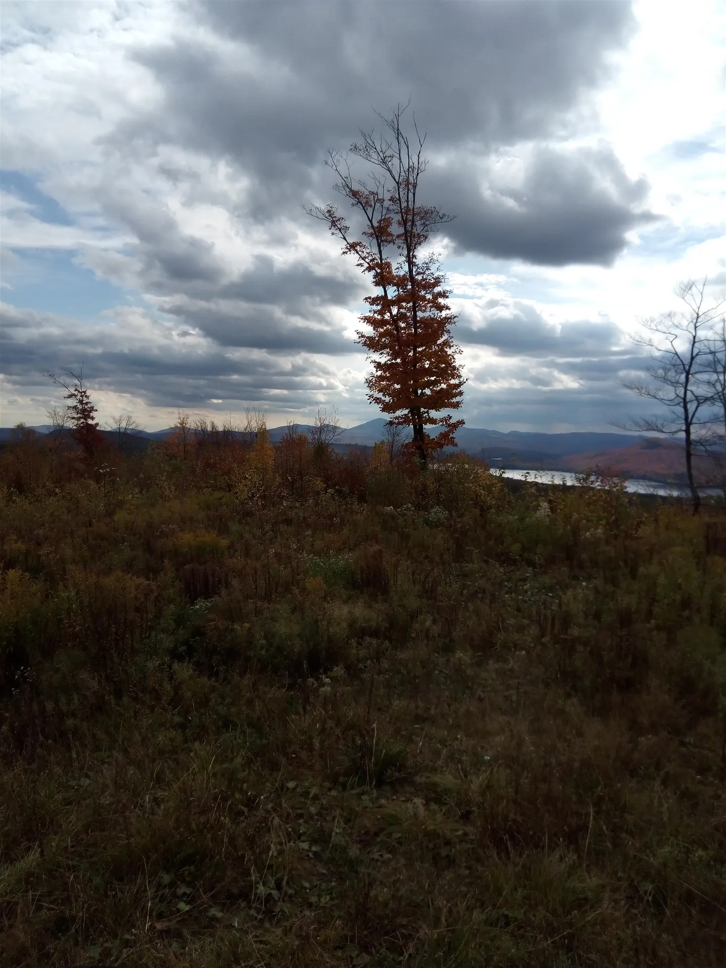 O Toad Pond Road Morgan VT 05853