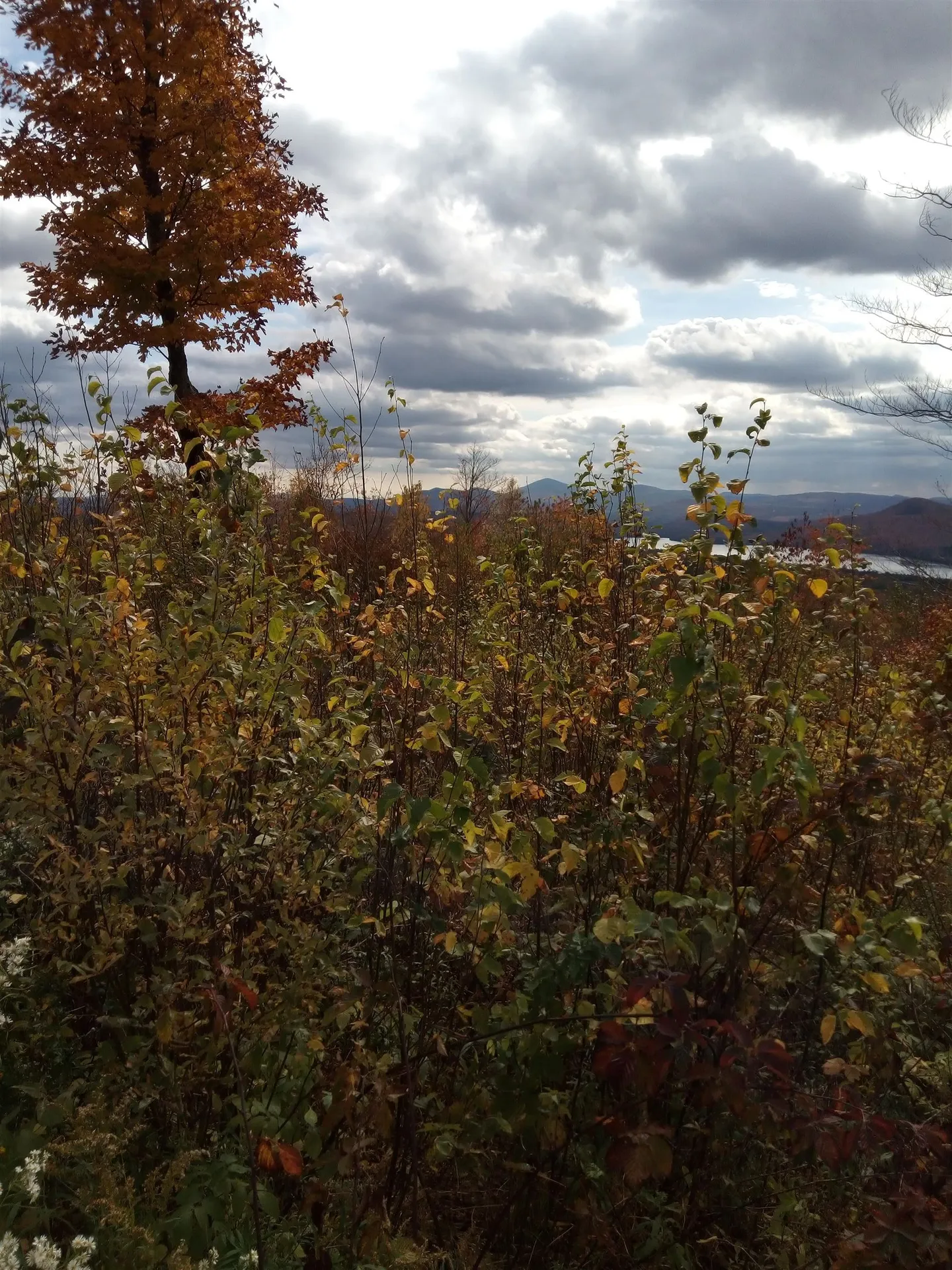 O Toad Pond Road Morgan VT 05853