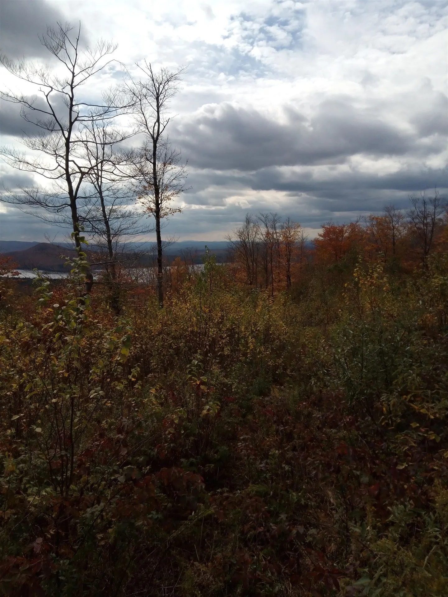 O Toad Pond Road Morgan VT 05853