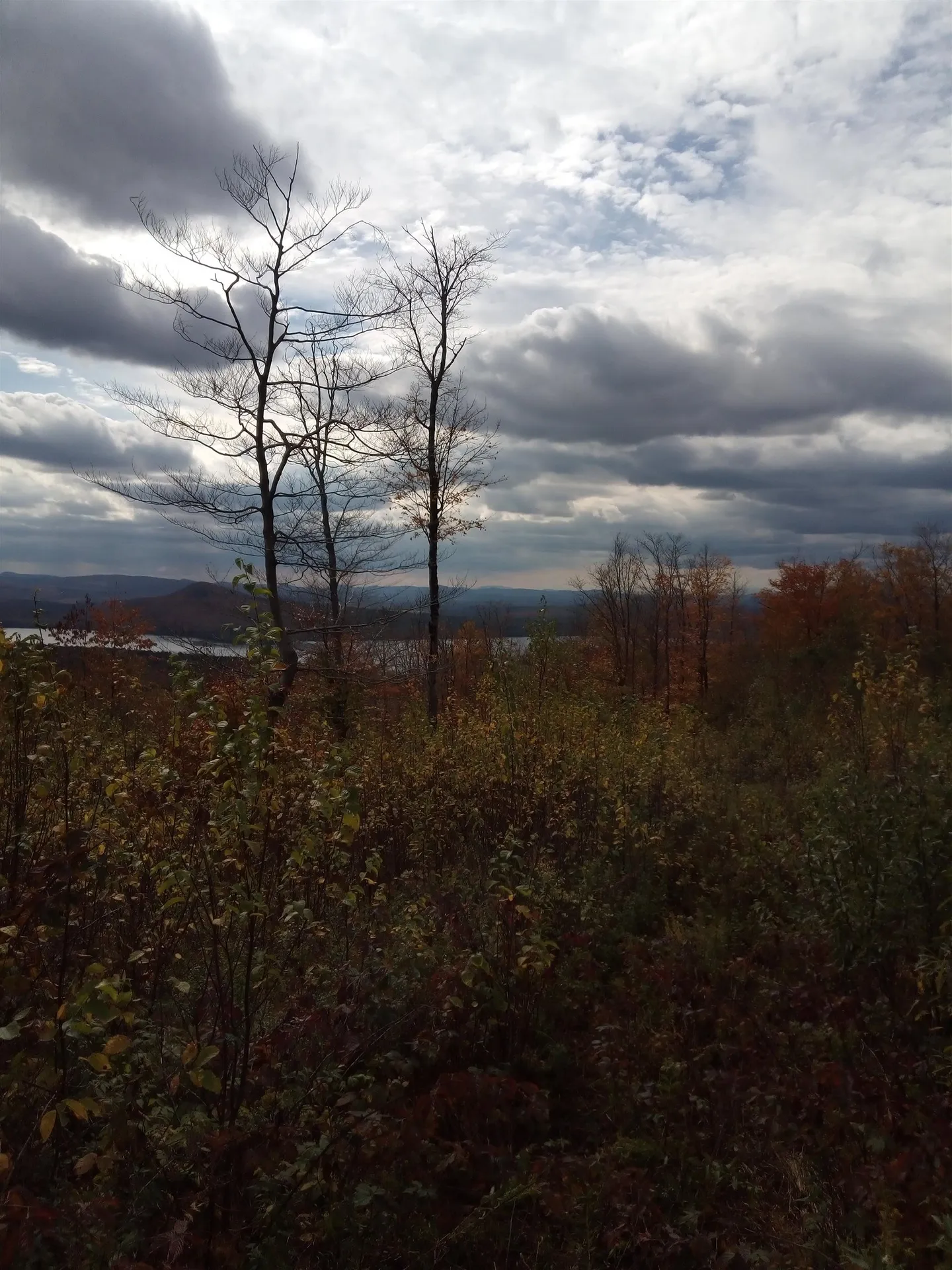 O Toad Pond Road Morgan VT 05853