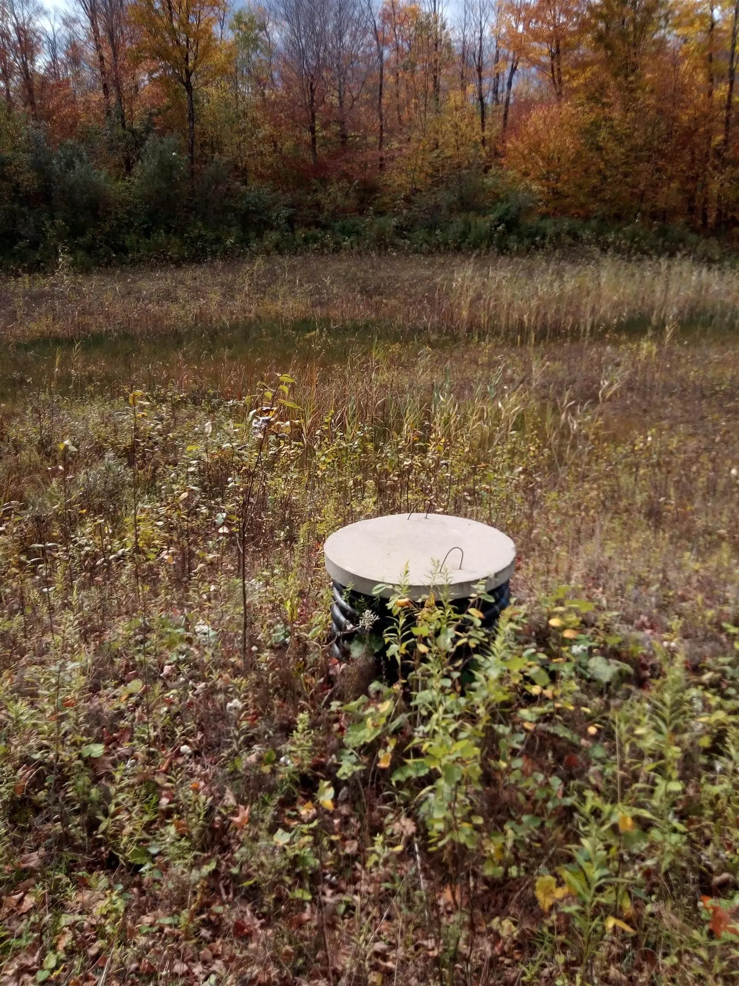 O Toad Pond Road Morgan VT 05853