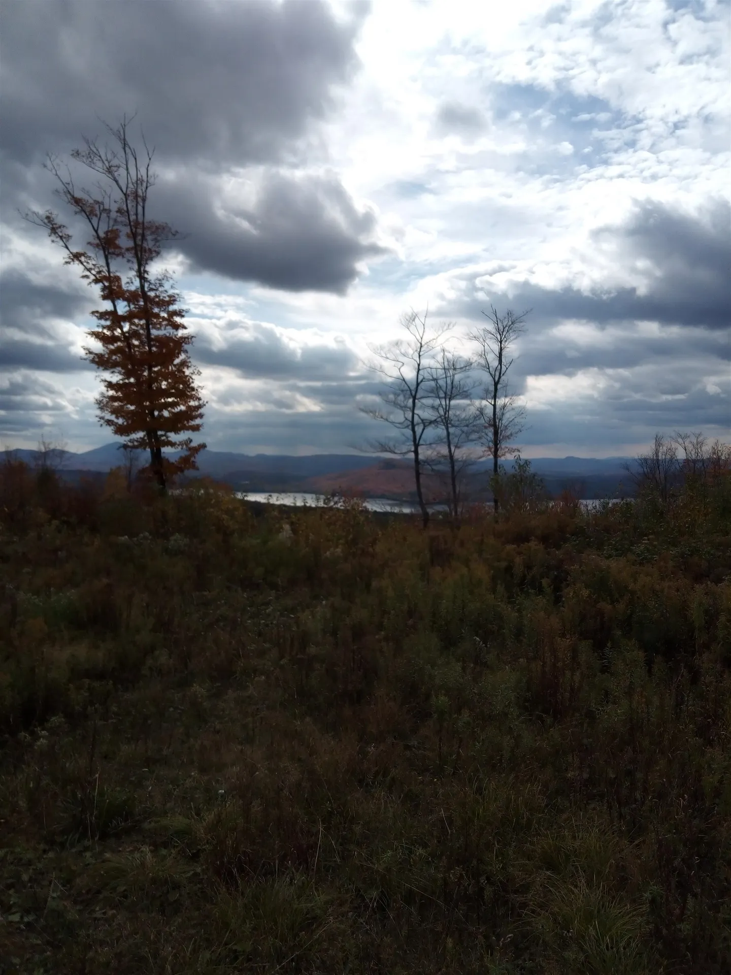 O Toad Pond Road Morgan VT 05853